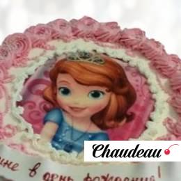 Торт фотопечать принцессы TFP0013892 фото и оформление торта