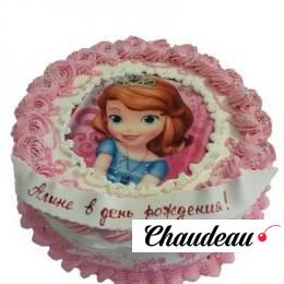 Торт с фотопечатью принцессы для девочки №47