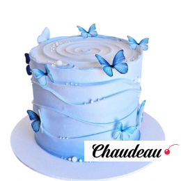 Торт с синими бабочками TSB0013996