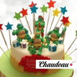 Торт Черепашки Ниндзя и звезды TCHN0013922 фото и оформление торта