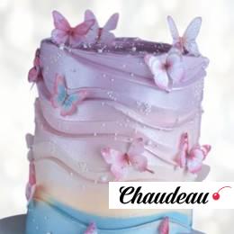 Торт шарики и бабочки TSHB0013946 фото и оформление торта