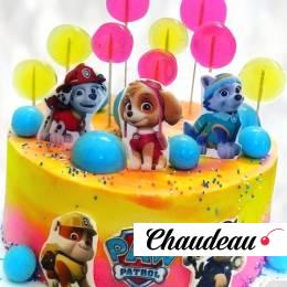 Торт Щенячий патруль и леденцы TSCH0013960 фото и оформление торта