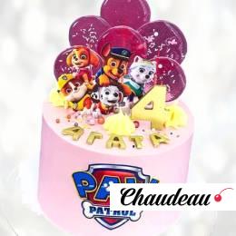 Торт команда щенков TKSC013967 фото и оформление торта