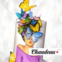 Торт щенок и бабочки TSCH0013971 фото и оформление торта