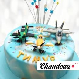 Торт небесные самолеты TNS0013976 фото и оформление торта