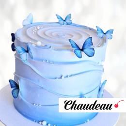 Торт небесно-синие бабочки TNB0013996 фото и оформление торта