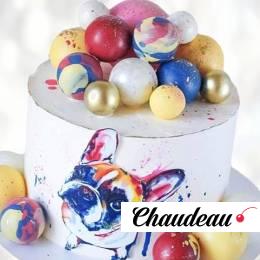 Торт верный пес и шарики TVPS013999 фото и оформление торта