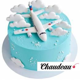 Торт Самолет в облаках №2422