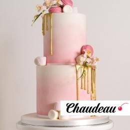 Торт «Астерия» фото 1 Торт «Астерия» на заказ