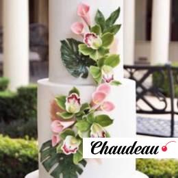 Двухъярусный торт на свадьбу «Оливия»  фото 1 Двухъярусный торт на свадьбу «Оливия»  на заказ