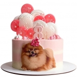 Торт со шпицем №2138