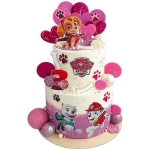 Торт со Скай, Эверест и Маршалом №2696