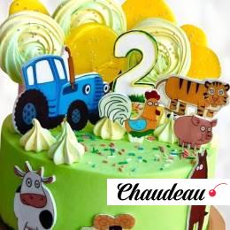 Торт Синий Трактор на двухлетие TSTD014000 фото и оформление торта