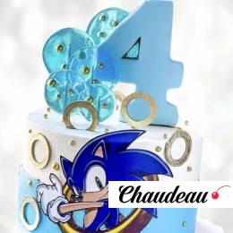 Торт Соник Икс на 4 года TSI4014006 фото и оформление торта