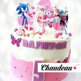 Торт Соник для девочки на 5 лет TSD5014008 фото и оформление торта