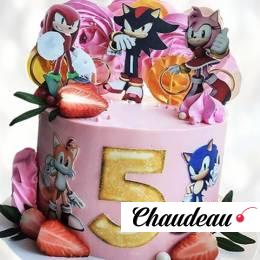 Торт ежик Соник для юной леди TESY014011 фото и оформление торта