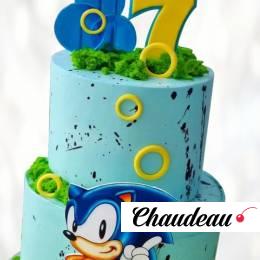 Торт Соник на семь лет TSSL014012 фото и оформление торта