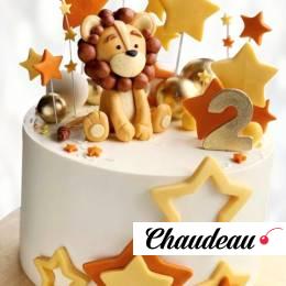 Торт львенок среди звезд TLSZ014014 фото и оформление торта
