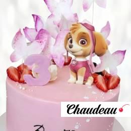 Торт Скай Щенячий патруль без мастики TSSC014021 фото и оформление торта