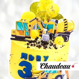 Торт рабочая техника на 3 года TRT3014037 фото и оформление торта