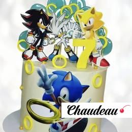Торт Sonic and Friends TSAF014046 фото и оформление торта
