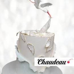 Торт врачу акушеру за сына TVAS014049 фото и оформление торта