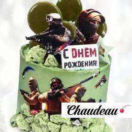 Торт бойцы из Стандофф 2 TBS2014051 фото и оформление торта