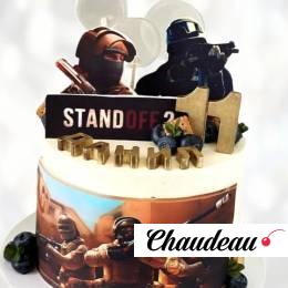 Торт Стендофф 2 на 11 лет TS210014053 фото и оформление торта