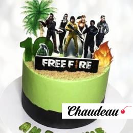 Торт Фри Фаер на 10 лет TFF10014080 фото и оформление торта