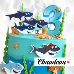 Торт Hungry Shark на 3 года THS3014089 фото и оформление торта