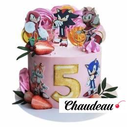 Торт с Соником на 5 лет для девочки №2970 Торт с Соником на 5 лет для девочки №2970