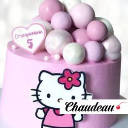 Торт Hello Kitty розовый мир THKR0014100 фото и оформление торта