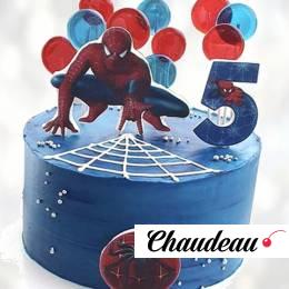 Торт Spider-Man на 5 лет TS5L014104 фото и оформление торта