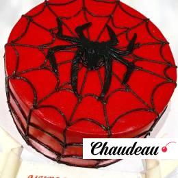Торт Человек Паук в паутине TCHP0014107 фото и оформление торта