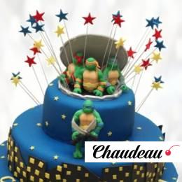 Торт день рождения с Черепашками Ниндзя TDRC014111 фото и оформление торта