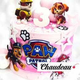 Торт нежно-розовый Щенячий патруль TNSC014127 фото и оформление торта