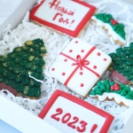 Набор имбирных пряников на Новый год NIPN014355