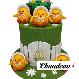 Праздничный торт PT000015137