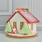 Новогодний пряничный домик NPD00016465