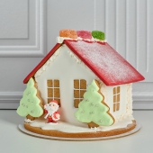 Новогодний пряничный домик NPD00016465