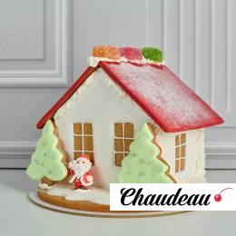 Новогодний пряничный домик NPD00016465
