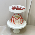 Муссовый бенто-торт MB00016626