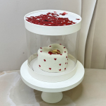 Муссовый бенто-торт MB00016628