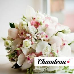 Орхидеи фото 1 Орхидеи на заказ