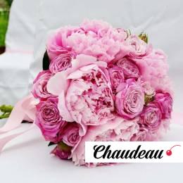 Пионы фото 1 Пионы на заказ