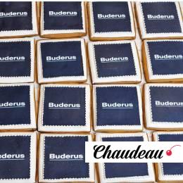 Корпоративные пряники с логотипом «Buderus» фото 1 Корпоративные пряники с логотипом «Buderus» на заказ