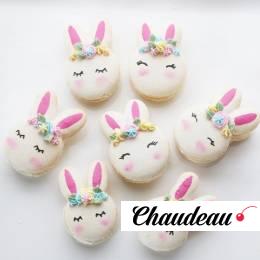 Праздничные макаруны «Пасхальные кролики» фото 1 Праздничные макаруны «Пасхальные кролики» на заказ