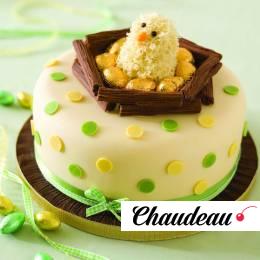 Праздничный торт «Пасхальный птенец» на заказ