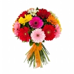 Герберы на заказ