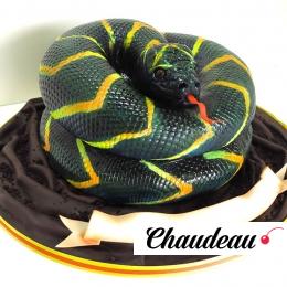 Торт праздничный «Змея» фото 1 Торт праздничный «Змея» на заказ